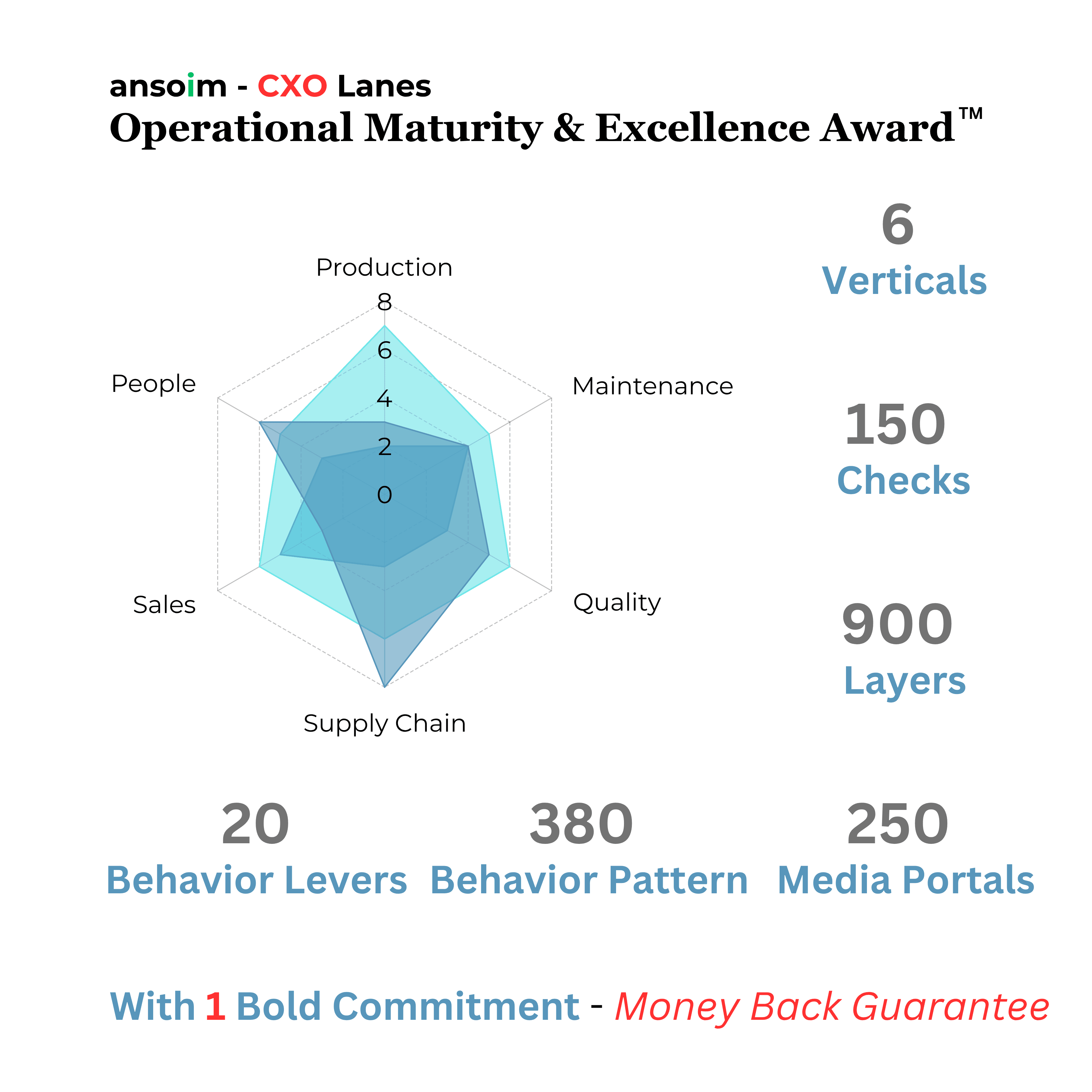 Manufacturing Performance Improvement with Money Back Guarantee. One of The Best Management Consulting Offerings