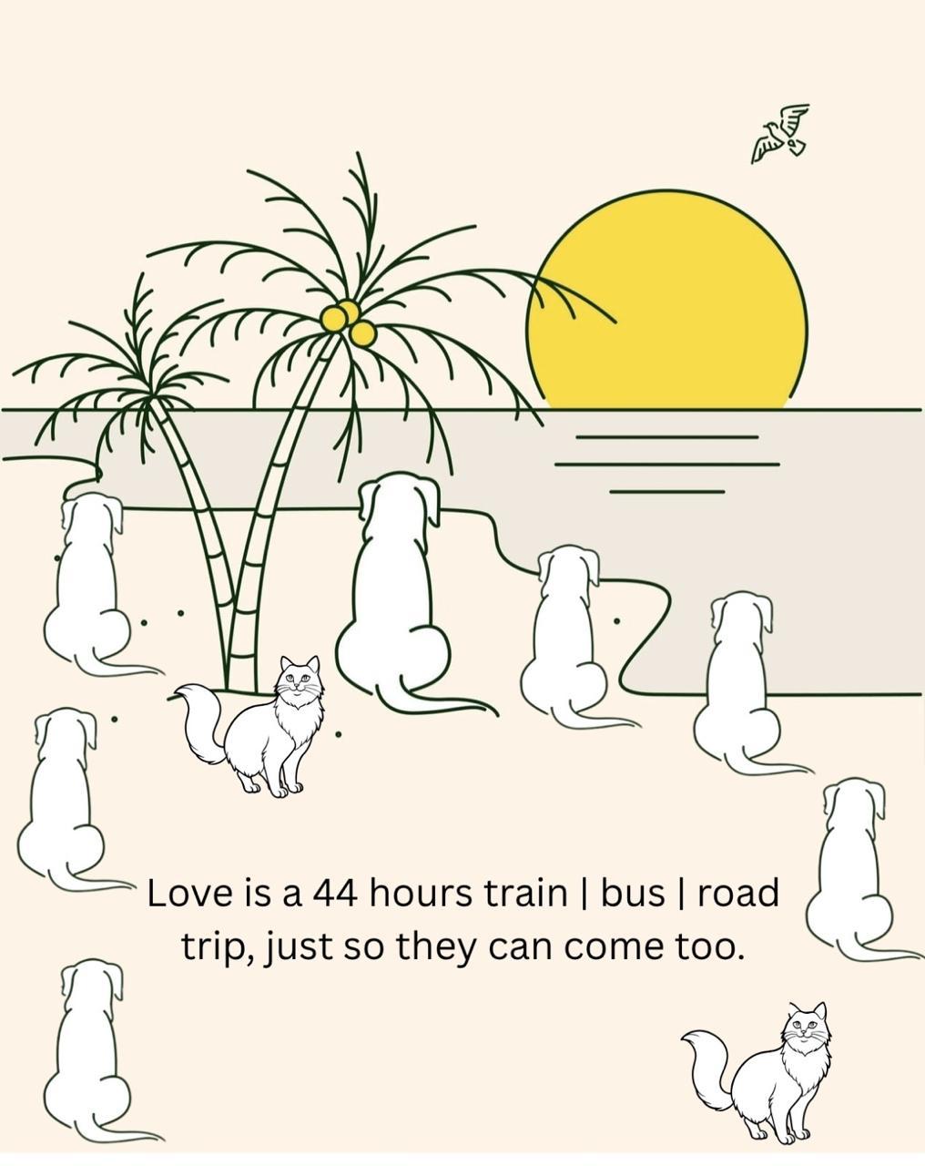 Five dogs, two cats, one toddler, and a journey that redefined what family truly means.